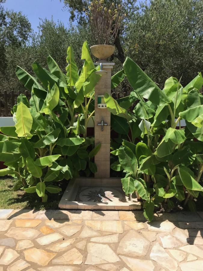 Villa Elea Lithakia  المظهر الخارجي الصورة