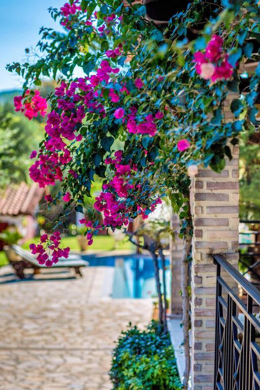 Villa Elea Lithakia  المظهر الخارجي الصورة